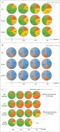 Figure 1. The percentages of T cell subtypes from the YIC, alum and saline groups after 0, 2, 4 and 6 injections. (A) Percentage changes of the HBsAg specific CD4+ T cells responded to corresponding treatments were represented by the 10 individual cytokine populations. Multifunctional Th1 cells are depicted in orange, Th2 in yellow and Treg in green. (B) Percentage changes of the HBsAg specific CD8+ T cells responded to corresponding treatments were represented by the 11 individual cytokine populations. Multifunctional Tc1 cells are depicted in blue, Tc17 in orange and Tcreg in gray. Data are presented as means from 10, 15 and 14 patients in the YIC, alum and saline groups, respectively. (C) Percent changes of the HBsAg specific CD8+ T cells of the YIC treated 2 patients with HBeAg seroconversions at weeks 24 and 48, and 2 patients in the saline control with HBeAg seroconversions at week 48.