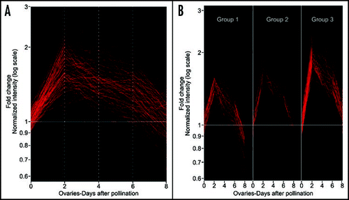 Figure 1 cDNA microarray analysis of ribosomal proteins expression following fertilization in S. chacoense ovules. (A) Gene expression changes observed using nonparametric Anova testing (Kruskal- Wallis t-test), along with a Benjamini and Hochberg multiple testing correction algorithm of all the ribosomal protein genes available in our 7K microarray. (B) Cluster analysis of the differentially expressed ESTs corresponding to the ribosomal proteins in Table 1. The clones were classified based on the similarity of their expression profiles using a Self organization map (SOM) clustering. Three distinct SOM profiles (Group 1 to 3) can be distinguished. RNA extraction, probe preparation, cDNA array hybridization and data analysis were performed as described previously.Citation27