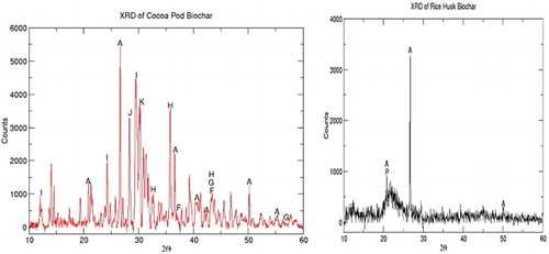 Figure 1. XRD spectra of biochars (CHB and RHB). Note: A = silica (SiO2), F = periclase (MgO), G = magnesium oxide (MgO), H = magnesium carbonate (MgCO3), I = potassium hydrogen carbonate (KHCO3), J = aluminium iron (iii) oxide (AlFeO3), K = iron oxide hydroxide (FeOOH), P = magnesium hydroxide (Mg[OH]2).