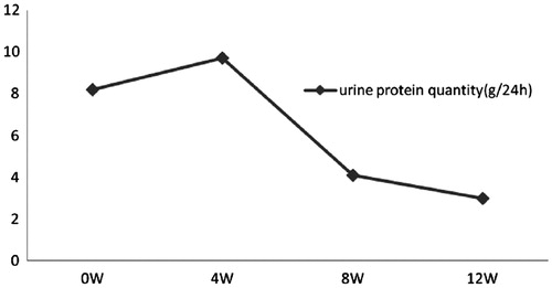 Figure 3. Proteinuria changes in follow-up. The levels of urine protein gradually decreased with the treatment.