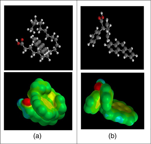 Figure 7. Binding model of linoleic acid (entry 2). (a) with phenanthrene; (b) with 2,3-diphenylpropionic acid (entry 9). The red atoms represent the oxygen atoms in the carboxylic acids.