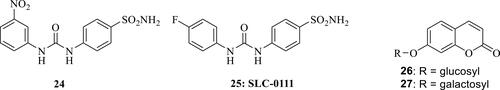Figure 7 Ureido-sulfonamides 24 and 25 and 7-glycosyl-substituted coumarins 26, 27.Citation98–Citation101