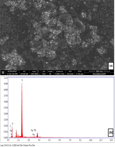 Figure 6. HRSEM micrograph of AgNPs synthesized using aqueous leaf extract of P. integrifolia (a) and energy dispersive X-ray spectrum of AEP-AgNPs (b).