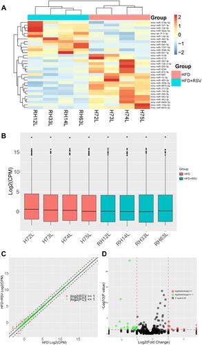 Figure 1 Differential miRNA expression between HFD+RSV and HFD mice. (A) Clustering heat map of differentially expressed miRNAs. (B) Box plot of signal intensity distribution of miRNAs in all samples. (C) Scatter plot of miRNA variation. (D) Volcano plot of miRNA variation.