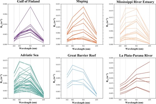 Figure 10. In situ measured Rrs spectra at six sampling sites. Only those with matched satellite observations are shown here.