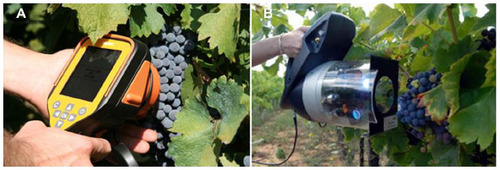 Figure 7 Spectron (A) and Multiplex (B) hand-device sensors for grape quality proximal monitoring, which allows quality maps to be realized.