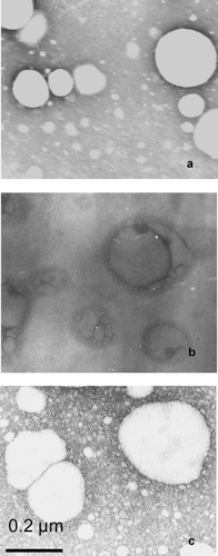 FIG. 2  TEM structure of the droplets of loaded (a) negatively, (b) positively, and (c) neutrally charged submicron emulsions.