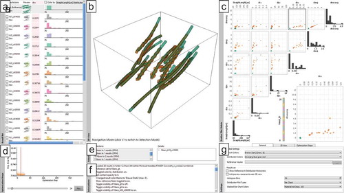 Figure 3. FIAKER analysing a list of 26 results (a) of fibre reconstruction algorithms aware of curved fibres, two of which are shown in the 3D view (b). A scatter plot matrix (c) provides an overview over the properties of all fibres; a step chart (d) enables inspecting single results of the optimisation step; selection (e) and interaction (f) protocols keep track of analysis steps, and finally a settings view (g) enables fine-grained control of the visualisations.