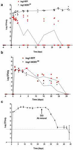 Figure 1. WOR1 overexpression suppresses fitness defects of hog1 mutants.