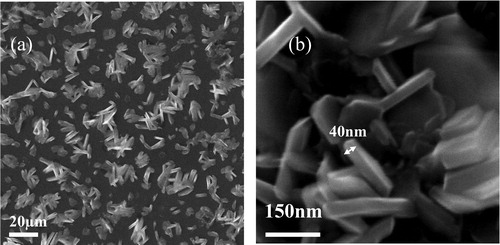 Figure 1. (a) General morphology of deposits, (b) magnified SEM image of the crowded nanoplates.