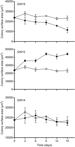 Figure 1. The variation curves of the colony surface area of M. aeruginosa inoculated with three selected bacterial isolates which exhibited differential effects on the cyanobacterial colony size. QW19 and QW12 exhibited negative and positive effects, respectively, and QW14 exhibited no effect. Values are means ± standard deviation (n = 3). Open and solid symbols represent control and culture with inoculation of bacterial isolates, respectively.