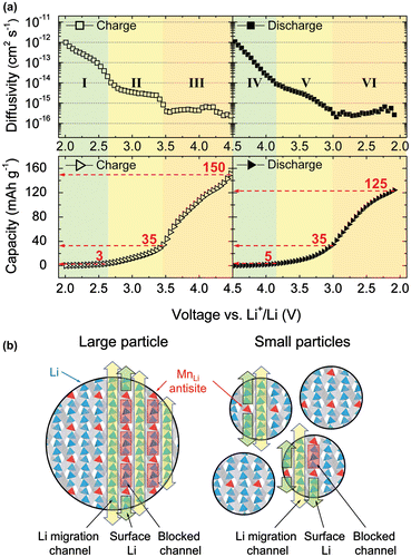 Figure 4. (a) Apparent Li chemical diffusivities and accumulated capacities as a function of voltage obtained by potentiostatic intermittent titration technique. (b) Schematic of size dependence of the channel blockage due to the antisite defects. Reprinted from [Citation12] with a permission from John Wiley & Sons.