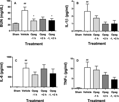 Figure 6 Opaganib preserves renal function and suppresses inflammation in lipopolysaccharide-induced sepsis. Mice were treated with opaganib (100 mg/kg) or vehicle by oral gavage at 1 hr before and/or 2 hr after lipopolysaccharide (LPS) injection. No LPS was administered in the Sham treatment group. Blood was drawn 24 hr after LPS administration and assayed for BUN (A), IL-1β (B), IL-6 (C) and TNFα (D). Bars show the mean ± SD values for n=4–6 mice per treatment group. ##Indicates p < 0.01 compared with the Sham treatment group. *Indicates p < 0.05 compared with the Vehicle treatment group.