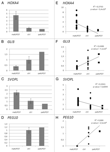 Figure 6. Expression differences of differentially methylated genes. (A) HOXA4 (B) GLI3, (C) SVOPL, and (D) PEG10. Error bars indicate standard error of the mean for the matUPD7s and controls. PatUPD7 is a single sample. Regression plots for (E) HOXA4, (F) GLI3, (G) SVOPL, and (H) PEG10. Combined data from two replicate Taqman qPCRs are included for HOXA4, GLI3, and SVOPL. Only one Taqman qPCR was run for PEG10.