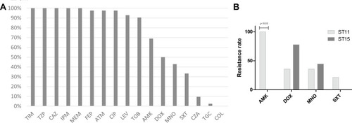 Figure 3 In vitro susceptibilities of the CRKP isolates. (A) Antimicrobial resistance patterns of 42 CRKP isolates; (B) comparison of drug resistance rate between ST11 and ST15 CRKP.