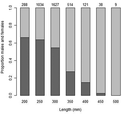 FIGURE 2. Proportions of male (light gray) and female (dark gray) Black Sea Bass at length (TL, mm). The x-axis values are midpoints for 50-mm length-bins. Overall, 3,631 fish were identified as either male (n = 1,738) or female (n = 1,893). The number above each column is the sample size for the corresponding length-bin.
