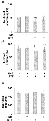 Figure 3. Protective effects of S14G-humanin on heart function. The mice heart function was measured by Echo. (a) Fractional shortening;(b) Ejection Fraction; (c) heart rate (†††, P < 0.005 vs. vehicle group; ‡‡, P < 0.01 vs. STZ group)