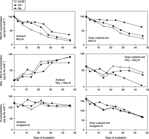 Figure 2  Changes in ammonium, nitrate plus nitrite and total inorganic nitrogen concentrations in an Andosol and a Gray Lowland soil amended with nitrification inhibitors under water-saturated conditions. (Each symbol is the average of two samples.)