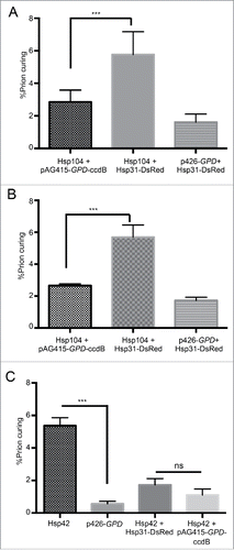 FIGURE 4. Expression of Hsp31 in combination with Hsp104 increases prion curing. (A) Hsp31 and p426-GPD-Hsp104 were co-transformed in the [PSI+] strain. Vector without inserts served as controls. (B) Quantification of the experiments in panel A. Prion curing was increased from about 2.5% to 6% when Hsp31 was co-expressed with Hsp104 compared to the control strain (*unpaired Student's t-test; p ≤ 0.001, n = 3). (C) [PSI+] hsp31Δ strain harboring plasmids for Hsp104 and Hsp31. (D) Quantification of experiments describe in panel C. The combination of Hsp104 and Hsp31 increased prion curing in the [PSI+] hsp31Δ strain consistent with WT strain in A-B. (** One-way ANOVA; p ≤ 0.001, n = 3). (E) Image of p426-GPD-Hsp42 transformed cells demonstrating curing compared to vector only. (F) Hsp31 and p426-GPD-Hsp42 were co-transformed in the [PSI+] strain and quantified. The combination of Hsp42 and Hsp31 did not increase curing (ns = not significant). Data and images shown are representative of at least 3 independent biological experiments for all panels.
