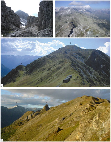 Figure 7. Gravitational slope and bilateral ridge deformations in Vizze Valley. (A) Deep and large trench within Mesozoic metasediments of Tux antiform north-east of Spina del Lupo (Wolfendorn). (B) View of the same trench from Spina del Lupo. (C) Bilateral gravitational morpho-structures of Glockner nappe calcschists of Giogo di Trens (Höllenkragen), south facing. (1) Giogo di Trens, (2) Passo di Trens (Trenser Joch), (3) Jagerjöchl.( D) Deformed summit and western hillside of Cima del Cavo, north-east of Passo di Trens. (1) Cima Stella, (2) Cima del Cavo, (3) Spina del Lupo.