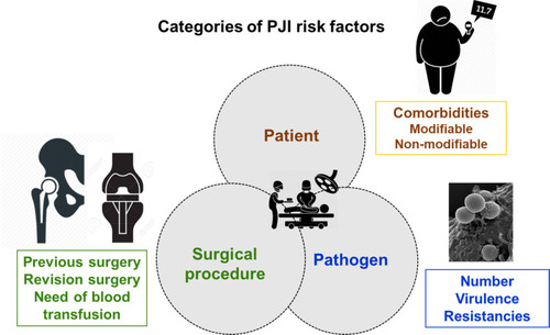 Figure 1 Categories of PJI risk factors (patient-, pathogen- and surgical procedure-related).