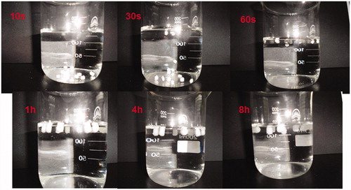 Figure 2. Photographs taken during in vitro buoyancy study of F6 in 150 mL 0.1 M HCl at different time intervals (10 s, 30 s, 60 s, 1 h, 4 h, 8 h).