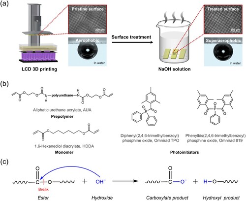 Figure 1. (a) Schematic diagram of the fabrication procedure of the superaerophobic LCD 3D printed object surface. The insets show the changes in surface topography and wettability before and after the post-surface-treatment. (b) Chemical structures of the components of photosensitive resin for 3D printing. (c) The hydrolysis reaction of the 3D printed ester-containing polymer during the alkali-treatment.