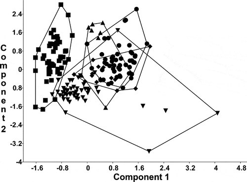 Fig. 34. Plot of principal component scores 1 and 2, based on the conventional morphometric dataset. Group outliers are connected by lines. Inverse triangles: population from Lake Balaton; triangles: French population; diamonds: type material of Stephanodiscus vestibulis; points: type material of S. triporus; squares: S. minutulus.