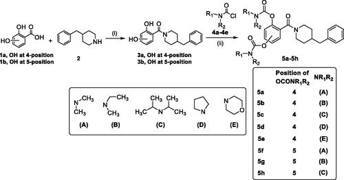 Scheme 1. Synthesis of 5a–5h. Conditions: (i) EDCI, HOBT, THF, and room temperature. (ii) N,N-disubstituted carbamoyl chlorides (4a–4e), CH3CN, 65 °C.