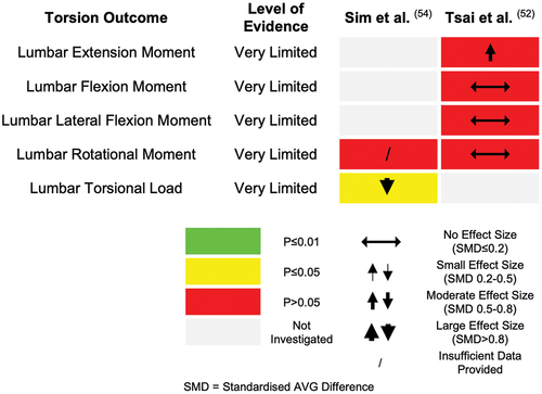 Figure 5. An evidence gap map summarising findings of studies to measure outcomes relating to lumbar torsion.