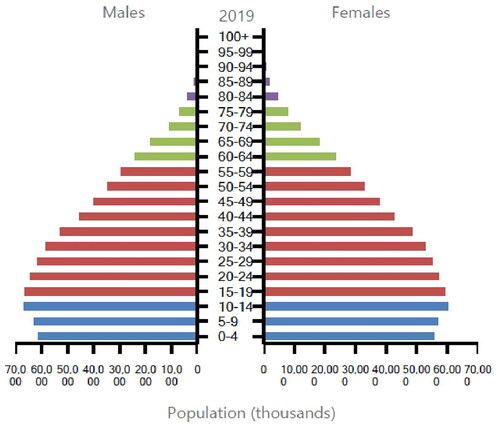 Figure 3. Population distribution by sex and age group in India in 2019 (in thousands). Source: UNCitation12.