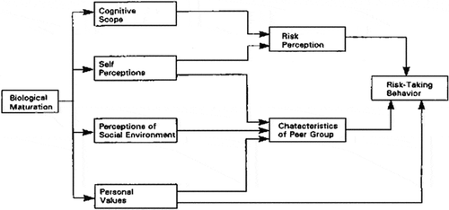 Figure 1. Diagram of the biopsychosocial model of at risk behaviour (Irwin & Millstein, Citation1993, edited by authors).