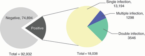 Figure 1. Human papillomavirus prevalence among 92,932 patients.