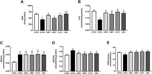 Figure 5 Antioxidant defenses in kidney of streptozotocin-induced diabetic rats treated for 35 days with yoghurt enriched with lycopene, alone or in combination with metformin. Activities of the enzymes SOD (A), CAT (B), GSH-Px (C), and GSH-Rd (D), levels of NPSH groups (E). Values are expressed in terms of mean ± standard error of the mean (SEM), n = 10. Differences between groups were analyzed using one-way ANOVA followed by the Student-Newman-Keuls test (p < 0.05): aDifferences to NYOG; bDifferences to DYOG; dDifferences to DMET.Abbreviations: NYOG, normal rats treated with yoghurt; DYOG, diabetic rats treated with yoghurt; DINS, diabetic rats treated with 4U/day insulin; DMET, diabetic rats treated with 250 mg/kg metformin in yoghurt; DLYC, diabetic rats treated with 45 mg/kg lycopene in yoghurt; DML, diabetic rats treated with 250 mg/kg metformin + 45 mg/kg lycopene in yoghurt.