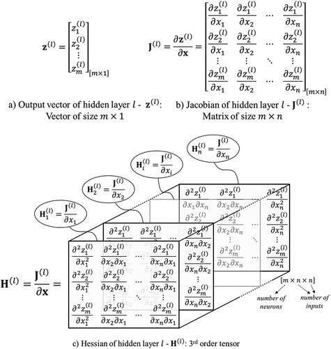 Figure 2. Size configuration of output vector, Jacobian, and Hessian of hidden layer l.