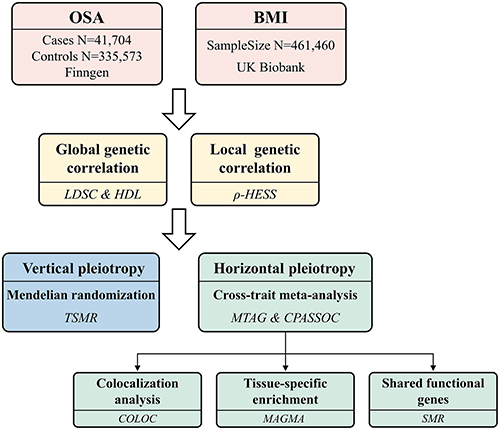 Figure 1 Overall study design of genome-wide cross-trait analysis.