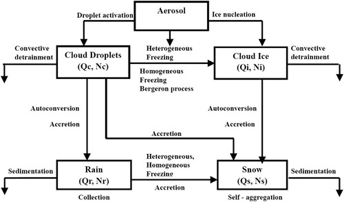 Fig. 26 Schematic showing the microphysical processes represented in the convective microphysics parameterization of the ZM scheme.