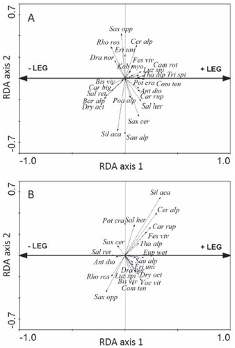 FIGURE 1. Redundancy analysis (RDA) biplot of the relationship between species presence and the presence of the legume Oxytropis lapponica in the (A) mid- and (B) high-elevation study sites at Mount Sanddalsnuten, Finse, Norway, summer 2009. +LEG = legume presence; -LEG = legume absence.