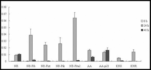 Figure 2. Expression pattern of JAmyb in the studied rice lines at 0 h, 24 h and 48 h p.i. with M. oryzae spores.