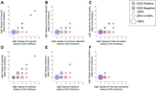 Figure 5 The scatter diagram of plant allergen sIgE classes before or after CCD inhibited. (A) for mugwort (CCD positive/negative n=27/6), (B) for common ragweed (CCD positive/negative n=27/2), (C) for tree mix pollen (CCD positive/negative n=26/5), (D) for soybean (CCD positive/negative n=25/8), (E) for peanut (CCD positive/negative n=27/6), (F) for Humulus scandens (CCD positive/negative n=15/4).