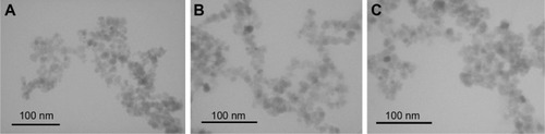 Figure 1 Transmission electron microscopy of differently coated superparamagnetic iron oxide nanoparticles.Notes: (A) Uncoated; (B) coated with D-mannose; (C) coated with poly-L-lysine. Images were recorded at ×85,000 magnification.