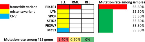 Figure 1 Genetic alterations of the presented multiple ACC lesions.