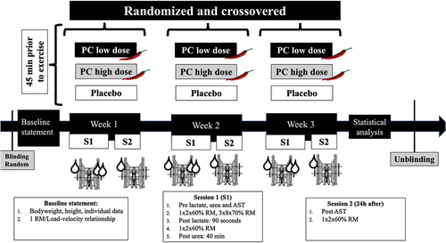 Figure 1. Overview of the experimental protocol and methodological aspects of the timeline. PC, phenylcapsaicin; S1/2, Session 1/2; 1RM, one-repetition maximum; AST aspartate aminotransferase.