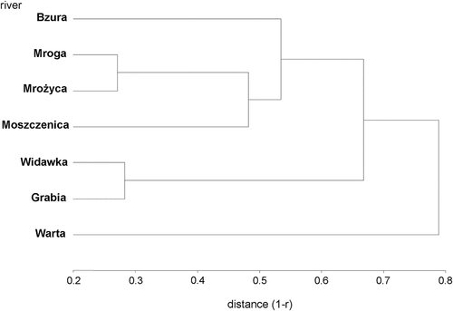 Figure 3. Clusters of chironomid abundance in the examined rivers of Central Poland obtained using the UPGM method and Pearson correlation as a similarity index