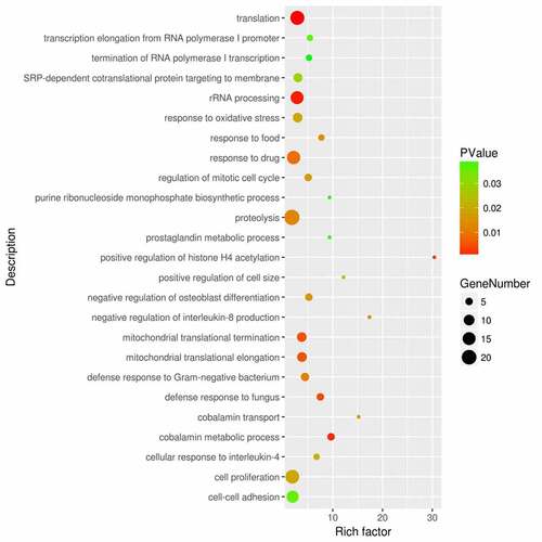 Figure 2. Functional enrichment analysis of the DEGs between sepsis-induced ARDS and control samples. DAVID bioinformatic tools were used for functional enrichment analysis of the DEGs between sepsis-induced ARDS and control samples. Gene number, enrichment score (rich factor) and the enrichment p value of each biological process were displayed in the bubble plot