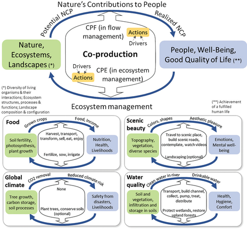 Figure 2. Framework of NCP co-production at ecosystem level (CPE) and flow level (CPF) and four examples.