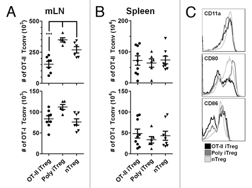Figure 4. In vivo suppression of Tconv by antigen-specific iTreg cells. FIR mice were adoptively transferred with a mixed population of OT-I and OT-II cells, together with either OT-II iTreg, polyclonal iTreg or nTreg. 5 days following immunization with ova/alum, the absolute numbers of OT-I and OT-II Tconv cells were analyzed in the mLN (A) and spleen (B). Data are shown for individual mice together with mean ± S.E.M. Expression of CD11a, CD80 and CD86 were analyzed on CD11c positive peritoneal cells on day 5 after immunization and representative plots are shown (C).