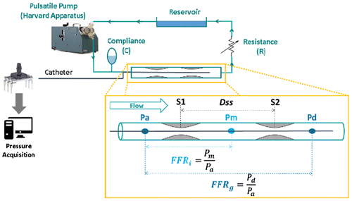 Figure 1 Cartoons of the experimental hemodynamic bench.