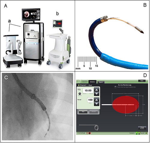 Figure 1. Medical devices and probes utilized during the RAB MWA in swine lungs. (A) The MONARCH™ Platform, a robotic bronchoscopy system, consists of a navigation tower and a robotic cart (a). The MONARCH navigation tower includes a display for CT-guided bronchoscopic navigation and visualization of the lung airways, whereas the MONARCH cart houses the robotic arms that control the bronchoscope. The NEUWAVE™ FLEX Microwave Ablation System (b) consists of a touch screen display as the user interface, a microwave power amplifier, and a CO2-based cooling system. (B) NEUWAVE FLEX ablation probe inserted through the MONARCH working channel. (C) Fluoroscopic image of a MWA procedure performed in one of the animals included in the study (ID: 1) showing the contour of the probe inserted into the working channel. (D) Screenshot of the NEUWAVE touchscreen user interface depicting ablation settings.