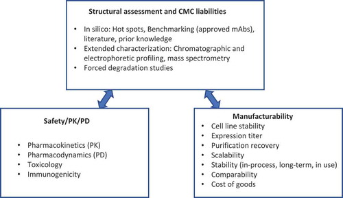 Figure 1. Major components of mAb developability assessment.